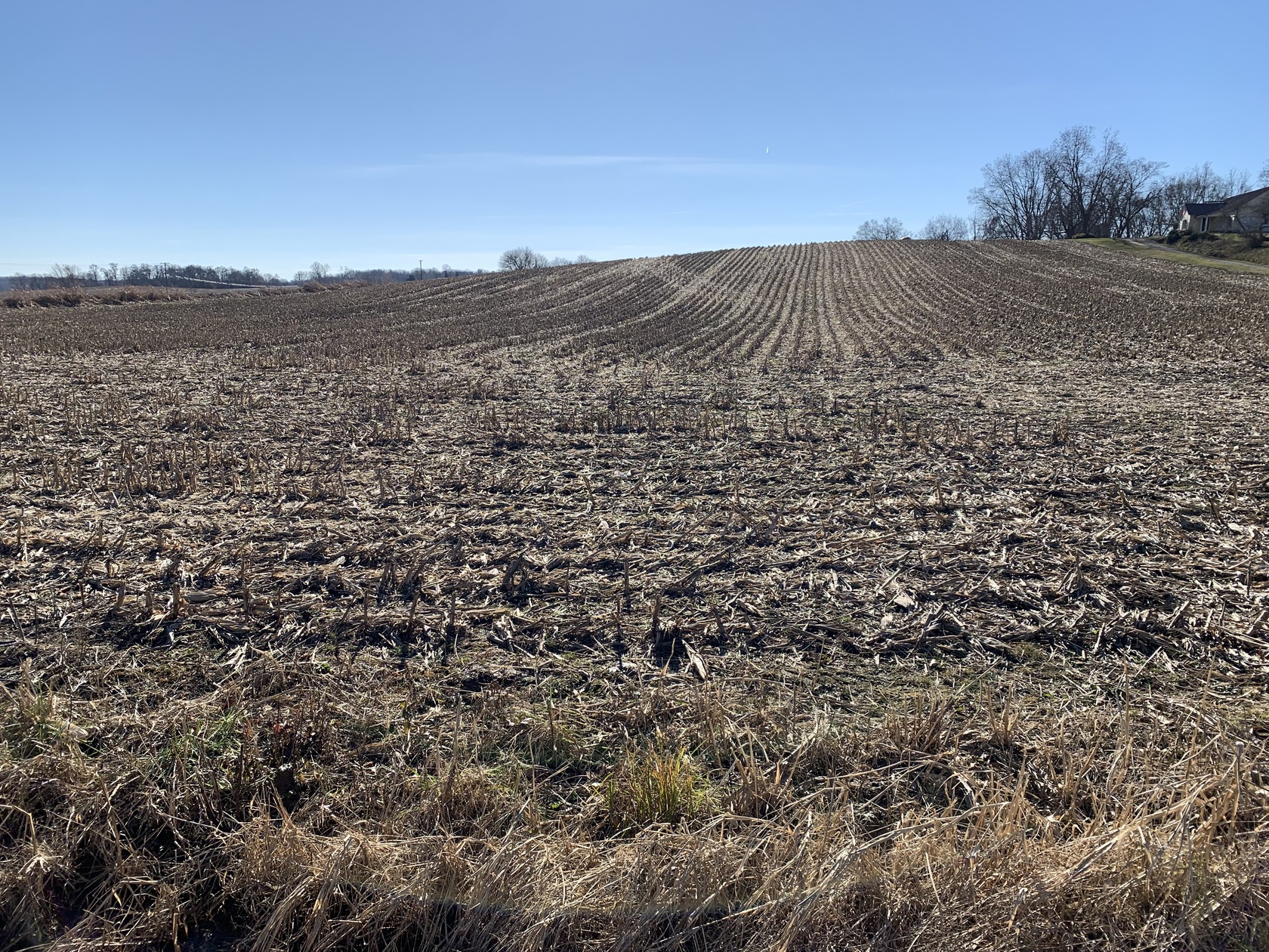 Tract #2: 20.5 Acres of Crop Ground