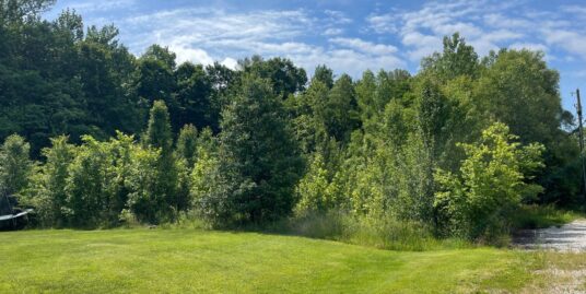 Wooded 1.15± Acre City Lot | Build Your Dream Home!