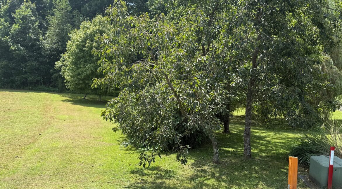 11550955-6X528hx4cCm4HVkf