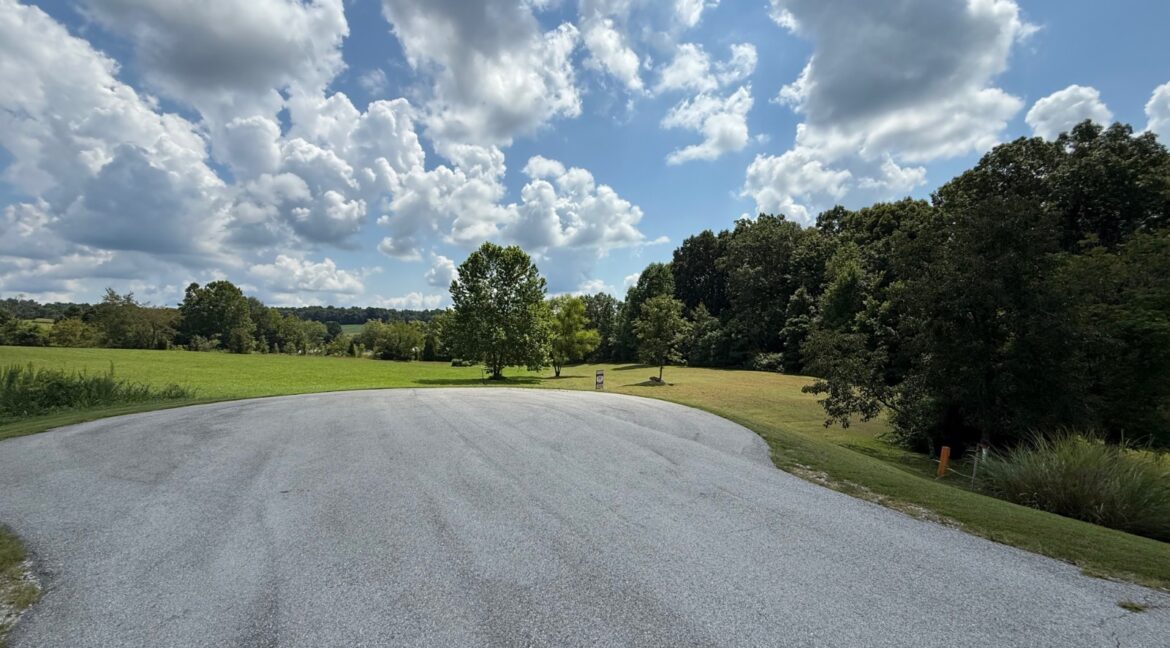 11550955-l9vkf6YBZWzhDPVY