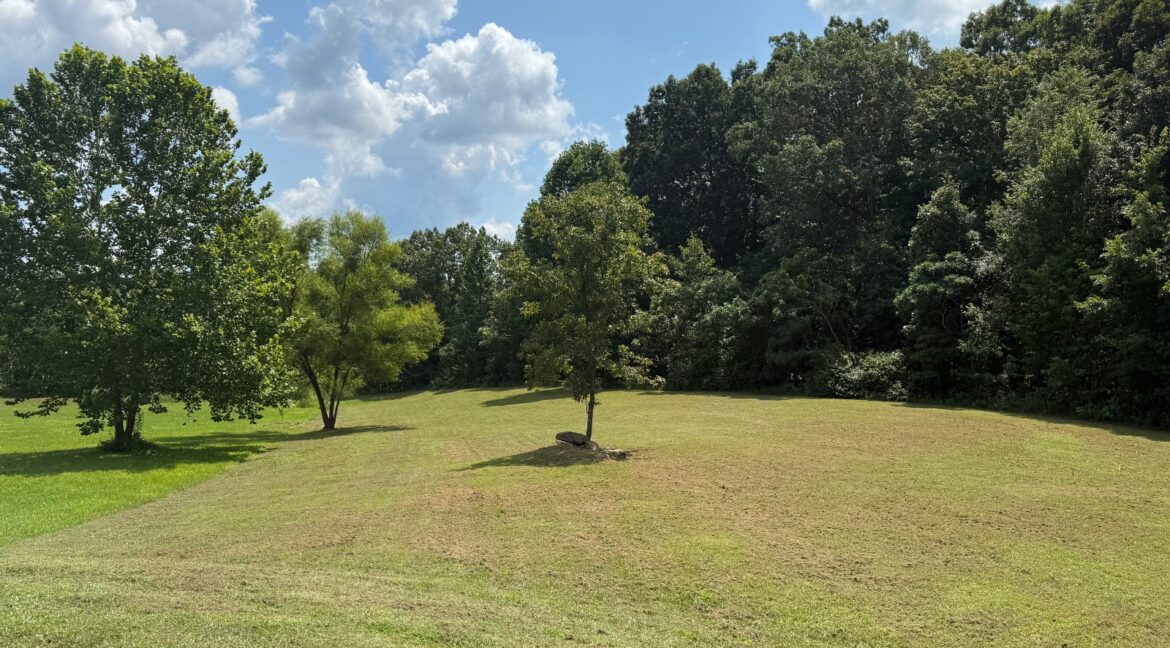 11550955-qppPK81fHCpNdX4L