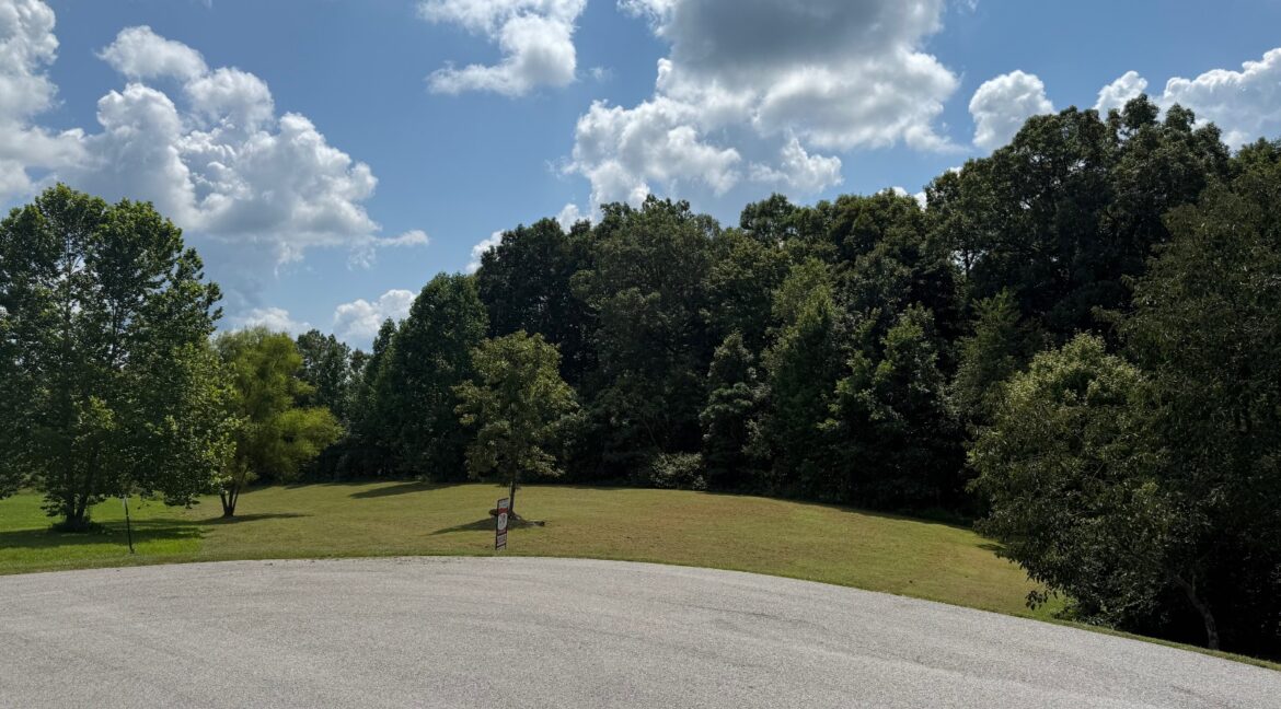 11550955-synHTLLpDyfbnZT8