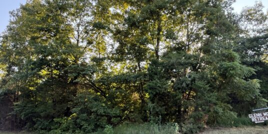 10 Acres +- Wooded Rural Land BORDERING HOOSIER FORESTRY!