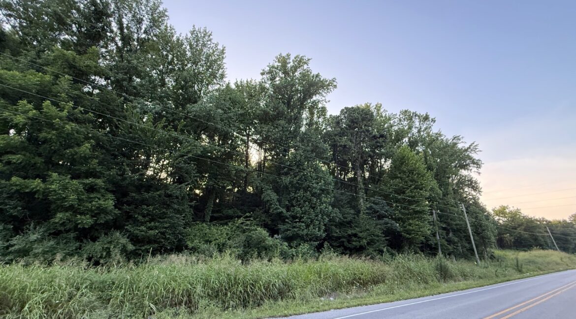 11547558-69JBWDSc9WmFGmDP