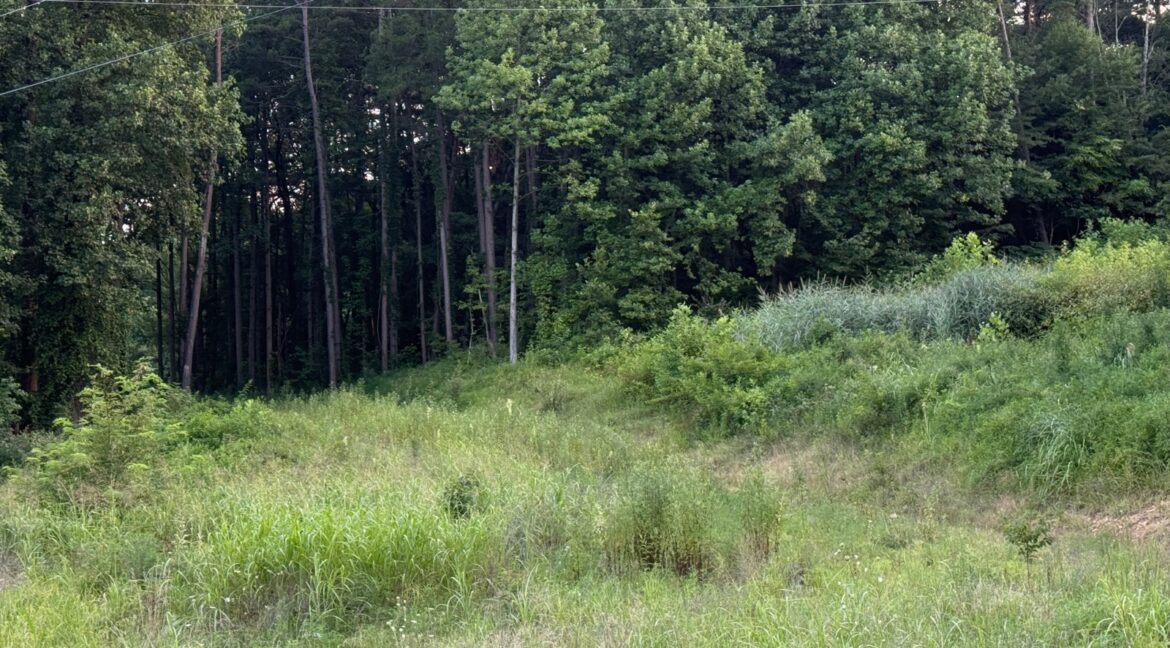 11547558-FFWbkNr23MScBtnZ