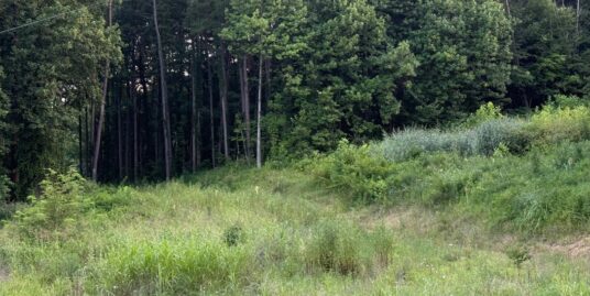 Land ready for your future home or getaway!