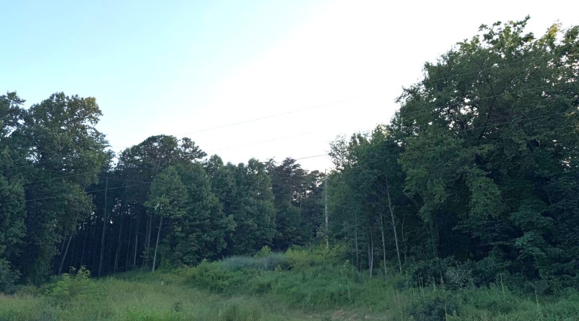 11547558-J5F6ydtZbwWtTfhq