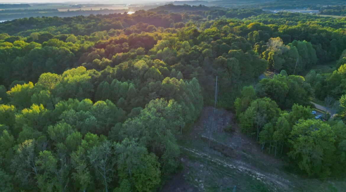 11547558-RWssW6nyktq2XRzd