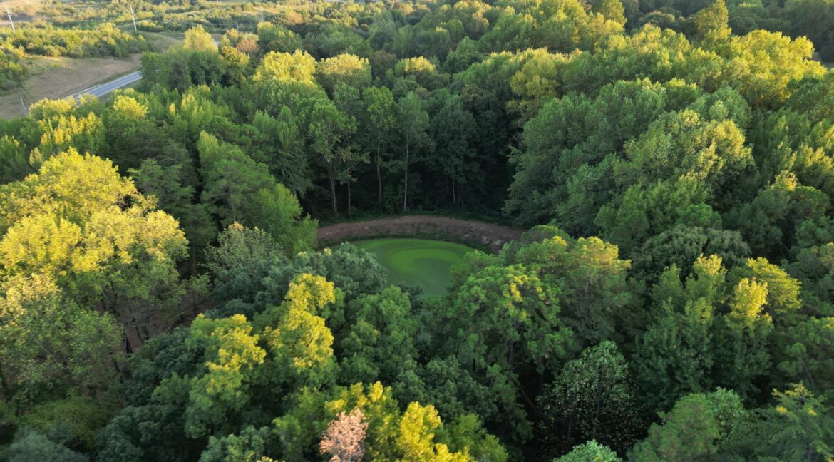 11547558-S8vTqjGN5ymbLd9M