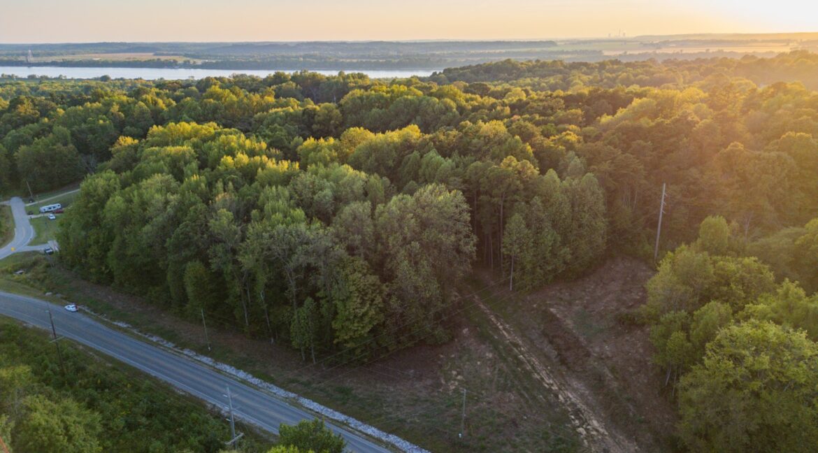 11547558-YznbYndJq2fztCy7