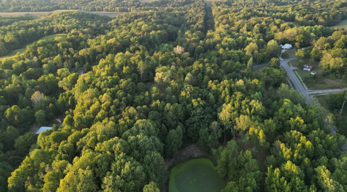 11547558-hmBkRvn1FN4VTB9T