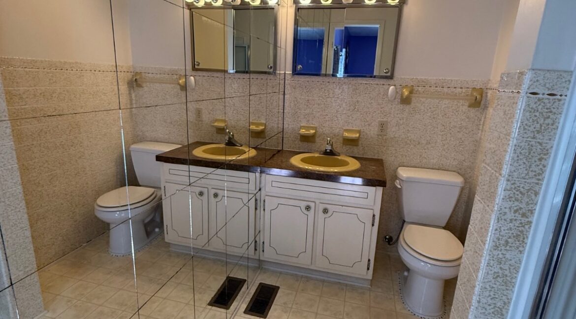 11553656-jbN7pLPjfFGFX5qP