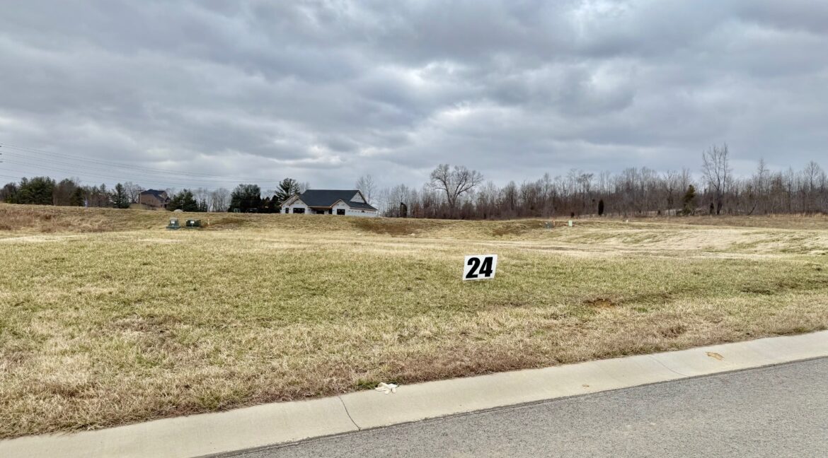 11676425-6Dvd6cWVcnDymcWb