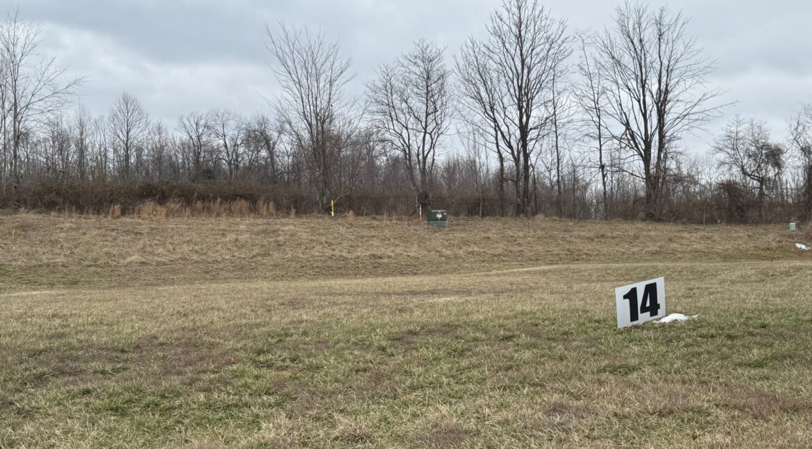 11676425-lYbJ6hR2zLHStqdL