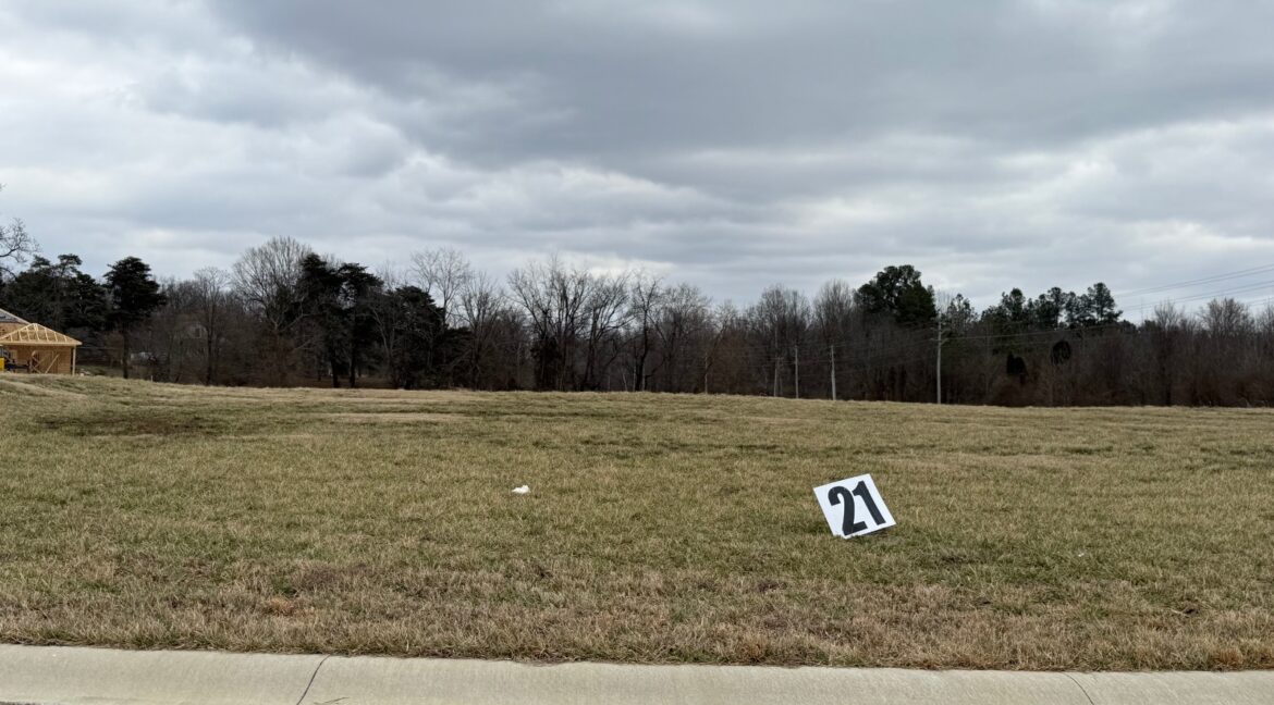 11676425-v7DMJXJtYSGy3t8z