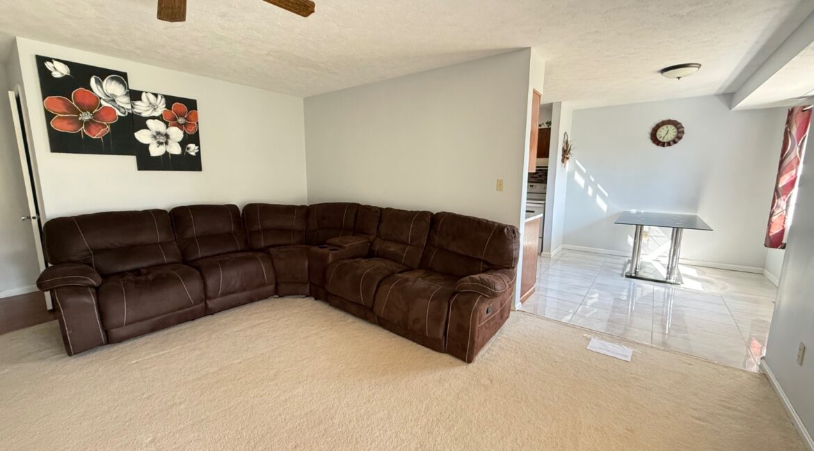 11676687-TZLDGTygP77BC9bJ