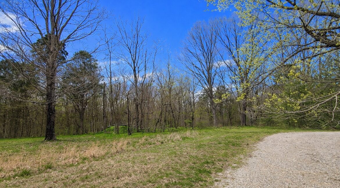 11685443-3RqW9ZKT5nynYRz9