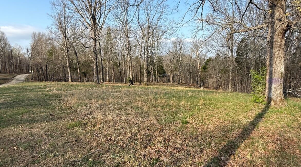 11685443-B6k3r6S11yYw5pBG