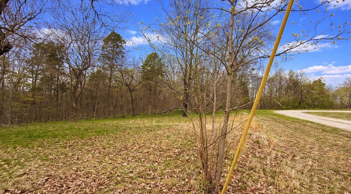 11685443-J7ZMSb5FMH91D9jR