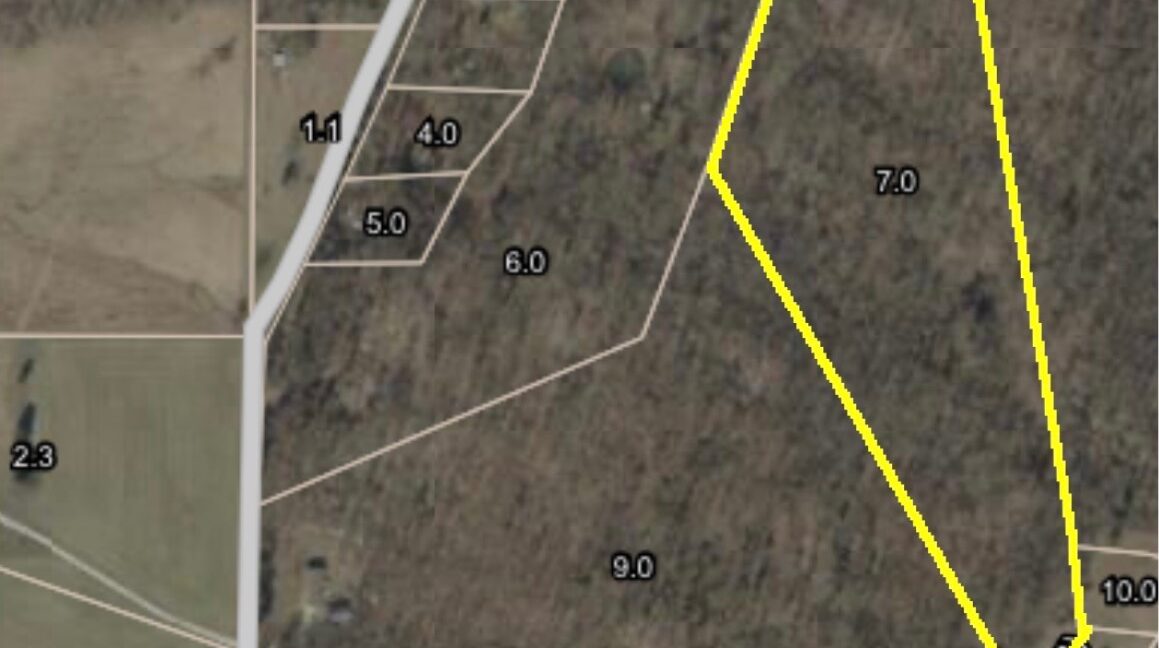 11685443-N4d6zVFjc5njGTbN