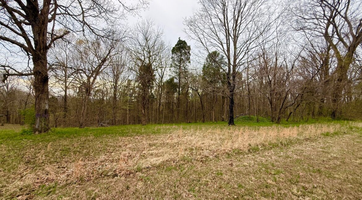 11685443-YHDRY2PWWX18tlWn