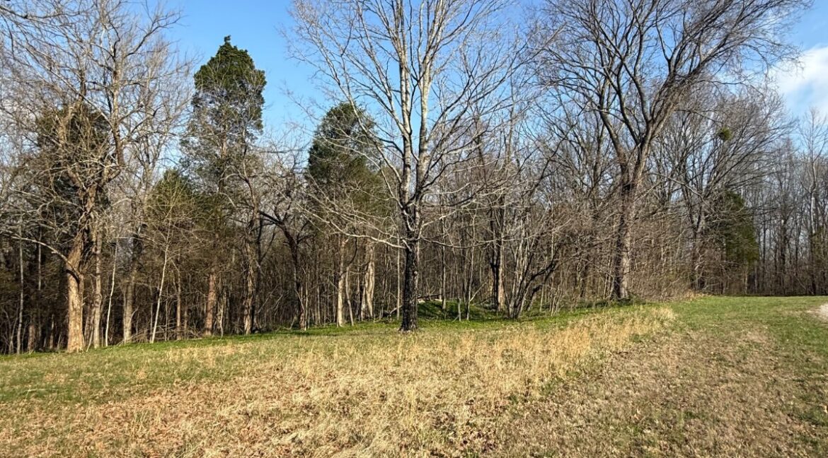 11685443-ZX94qgspYKvblLBx