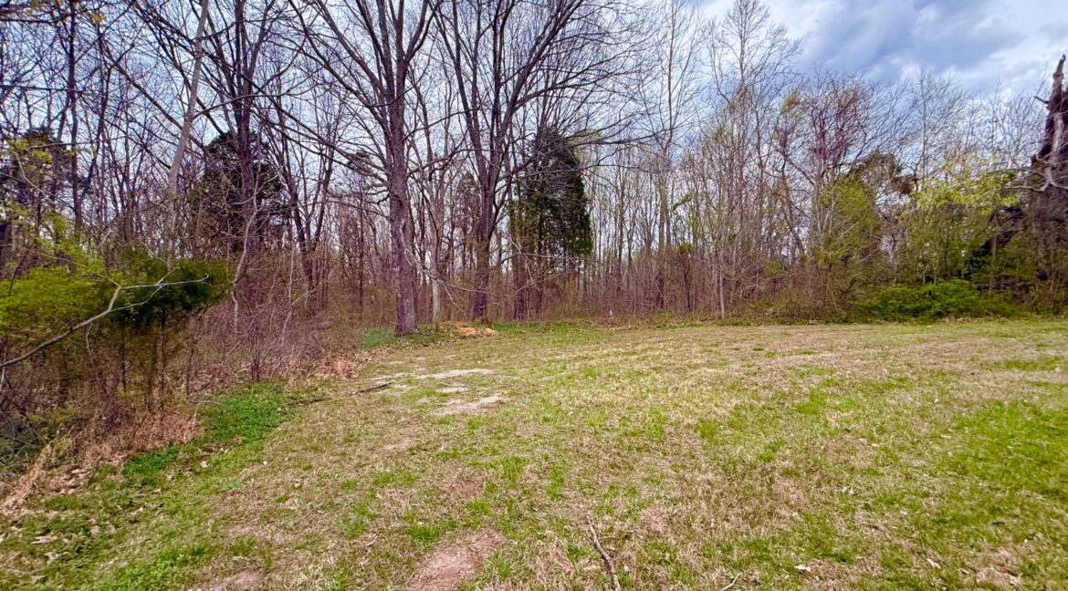 11685443-n7YCclb4scCNsDnc