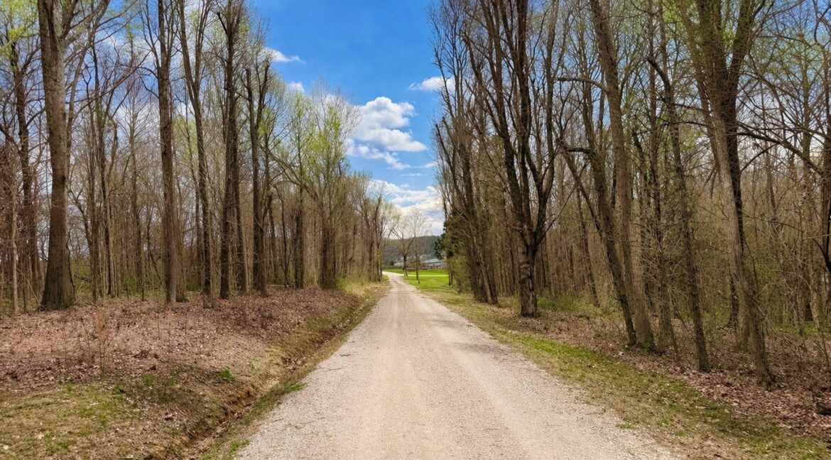 11685443-vHgXPcrSqC9DQSH8