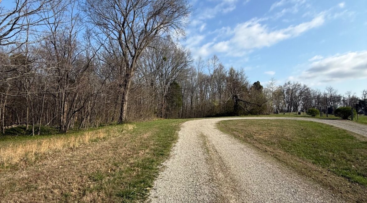 11685443-wf4WLyDT2ttDmtqt