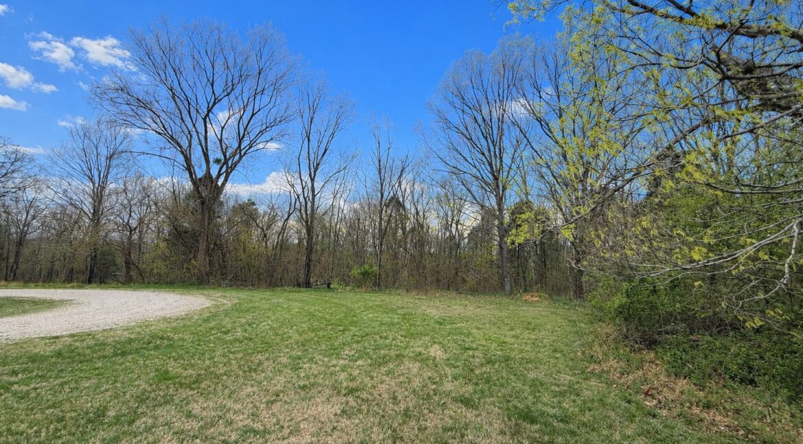 11685443-zBwDZCS7RjBFrTDw