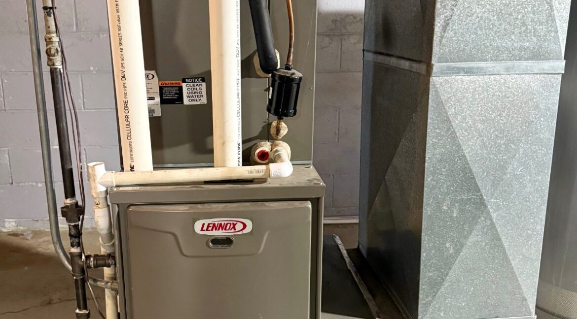 11688041-q94MyBlXSmsV67vg