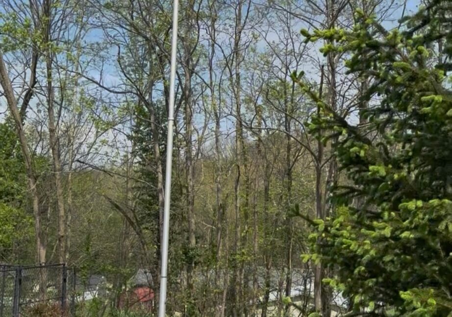 11691579-MJKgZCHjVSdNrmMz