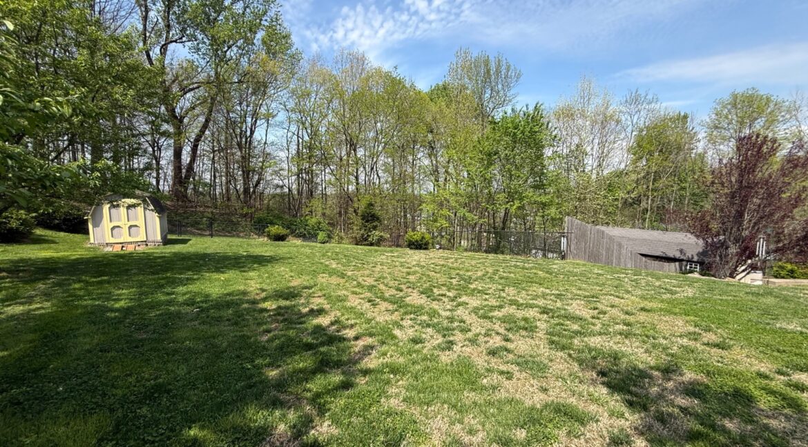 11691579-vyK8PBr6VHZZkN1R