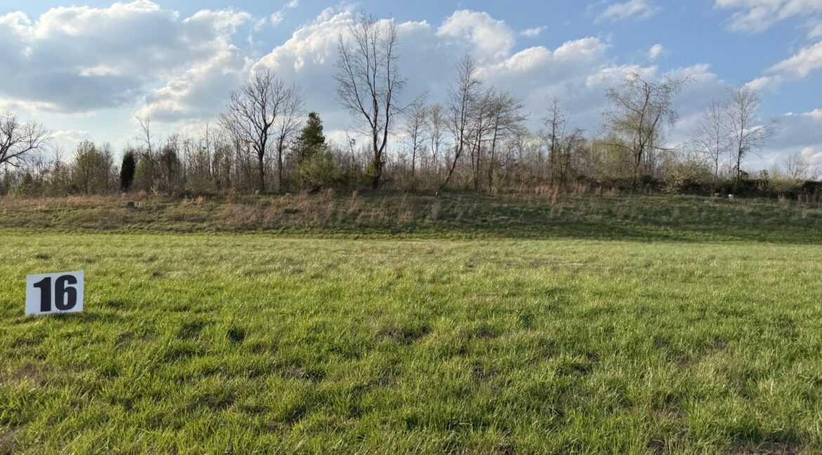 11732769-FRmnLMPdJbYn5bTK