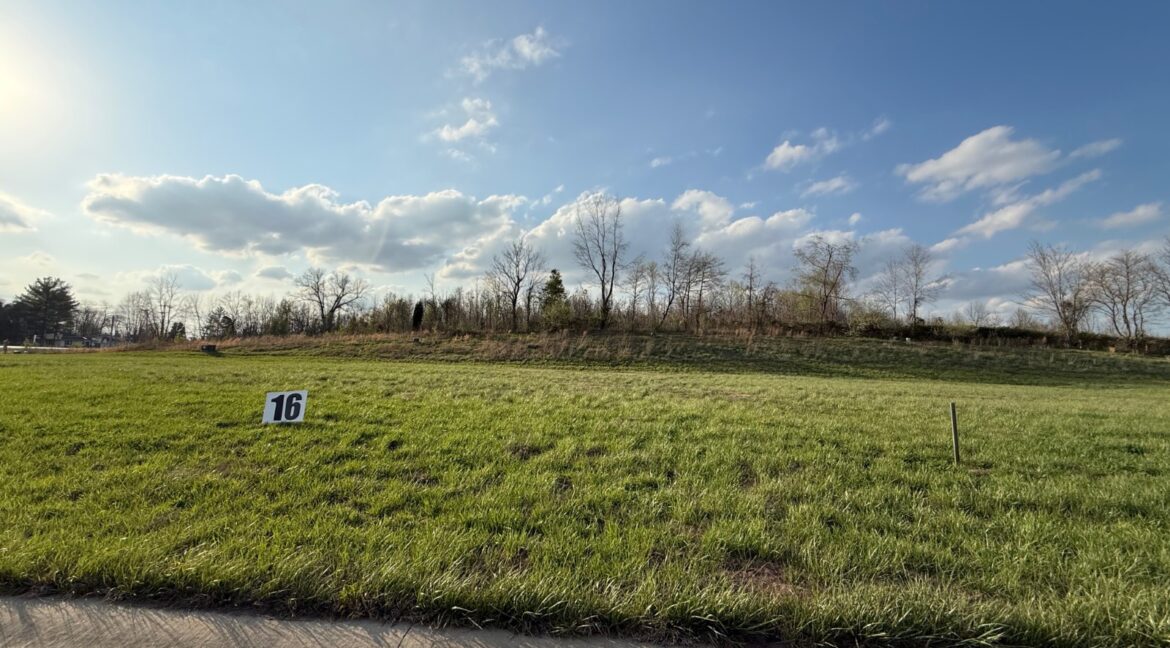 11732769-vP7F9TVb1NpCM7SJ